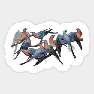 Passenger Pigeons Sticker